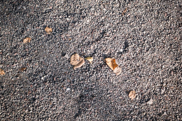 istock sandy stone ground with autumn leaves. background, texture. 889892624