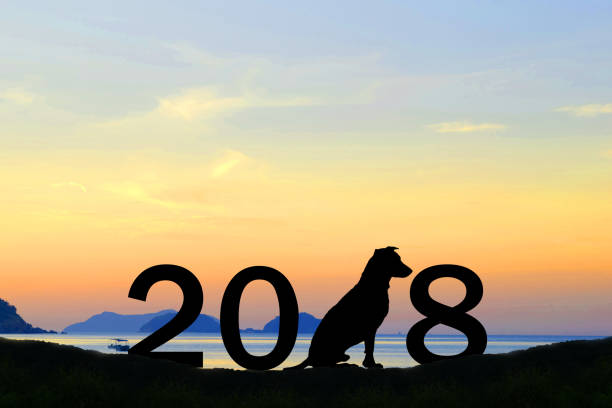 istock dog over silhouette Happy New Year 2018 889920022