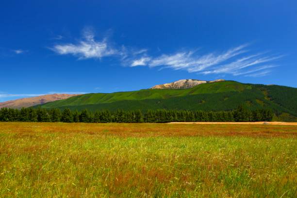 istock New Zealand On A Beautiful Summers Day 889925250
