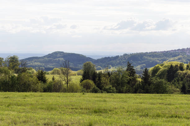 istock green landscape at springtime at south germany countryside 889935552