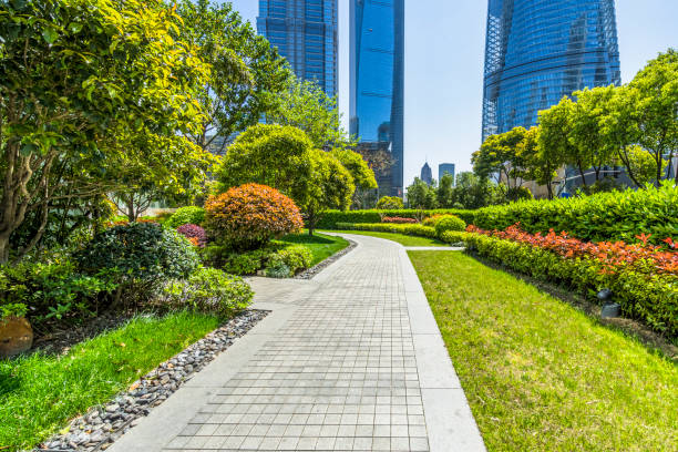istock Beautiful park at a sunny day 889935698