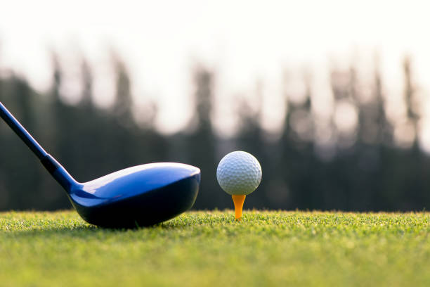 istock Close up golf ball and driver, player doing golf swing tee off on the green sunset evening time, presumably does exercise, select focus. 889958842