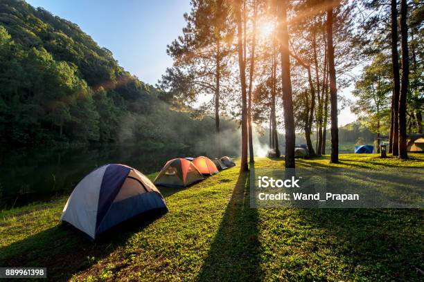 Avonturen Van De Camping En Tent Onder Het Dennenbos In De Buurt Van Water Buiten In De Ochtend En Zonsondergang Op Pangung Pine Forest Park Stockfoto en meer beelden van Kamperen