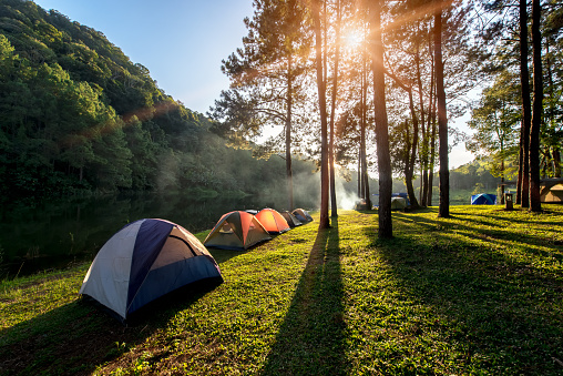 Adventures Camping and tent under the pine forest near water outdoor in morning and sunset at Pang-ung, pine forest park , Mae Hong Son, North of Thailand, forest background. Concept Travel