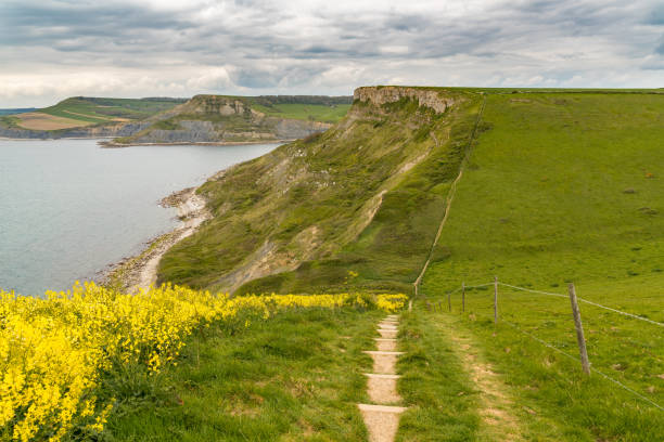 istock South West Coast Path, near Emmett's Hill, Jurassic Coast, Dorset, UK 889971784