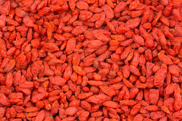 bagas de goji secas vermelhas, fruta wolfberry (lycium barbarum), usada na medicina tradicional chinesa - berry wolfberry berry fruit chinese medicine - fotografias e filmes do acervo