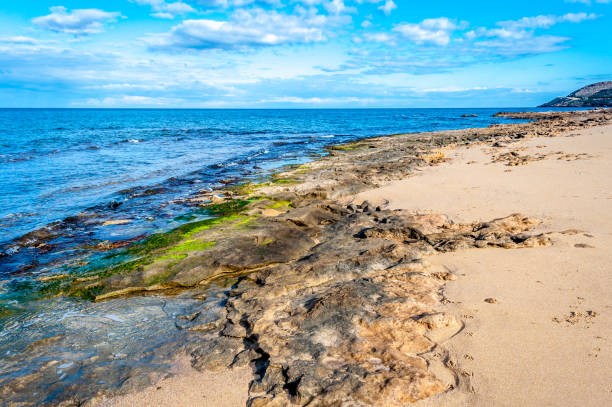istock Landscape of the coast in winter 890003842