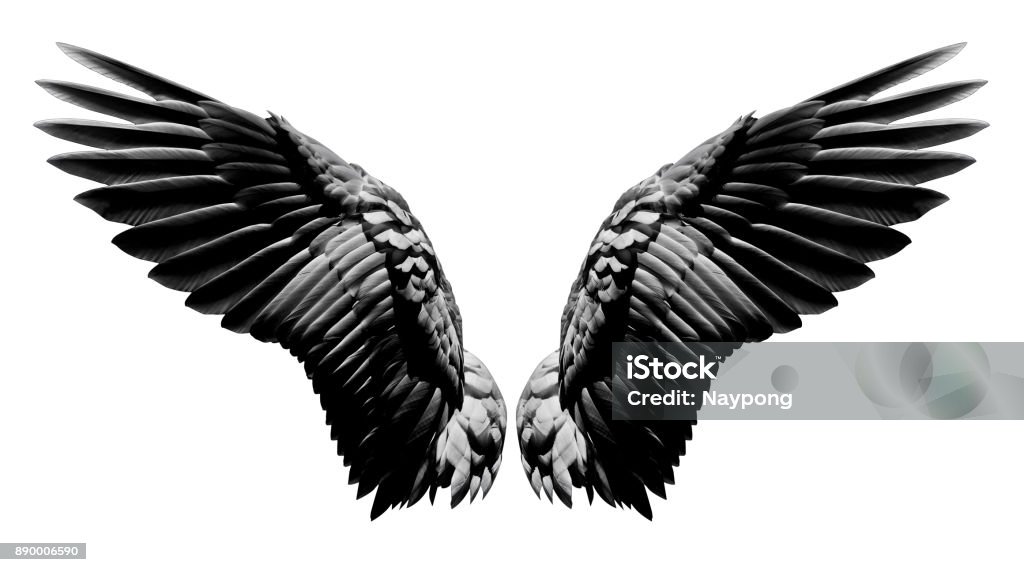 Angel Wings Natural Black Wing Plumage Isolated On White Background With Clipping Part Stock Photo - Download Image Now - iStock Angel Wings Natural Black Wing Plumage Isolated On White Background With Clipping Part Stock Photo - Download Image Now - iStock