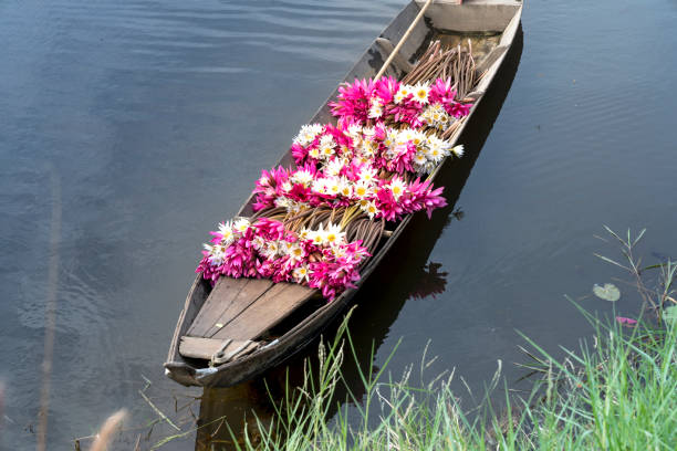 istock Boat full of pink waterlily 890015698