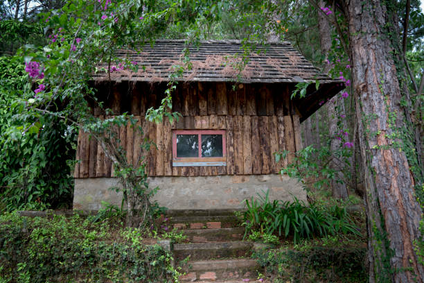 Small wooden house in pine forest