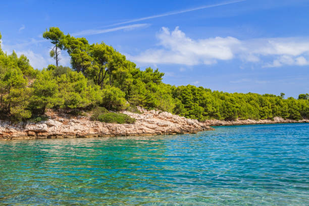 istock Beautiful adriatic rocky coastline 890025688