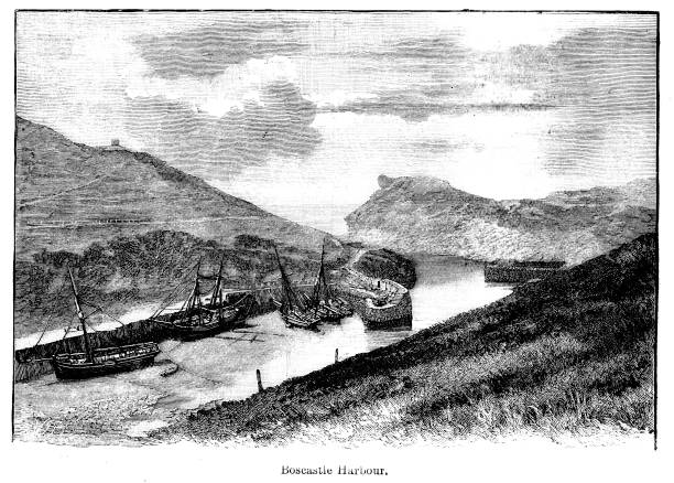 Taken from the Sunday imagine of 1890