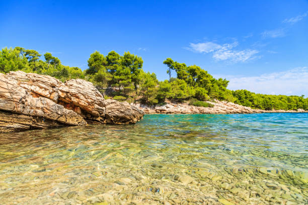 istock Beautiful Adriatic rocky coastline 890043476
