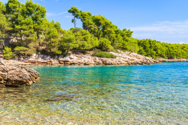 istock Beautiful Adriatic rocky coastline 890051808