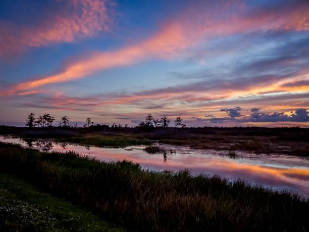 zachód słońca z różowymi chmurami w bagnowej rzece - cypress swamp zdjęcia i obrazy z banku zdjęć