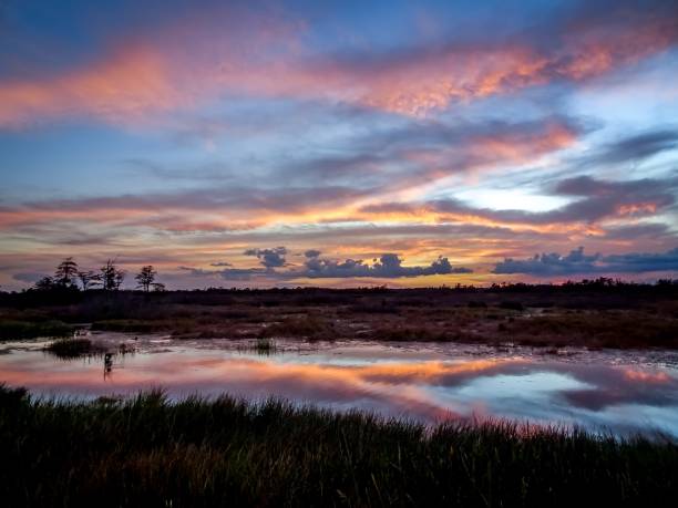 istock sunset with pink clouds in the swamp river 890052928