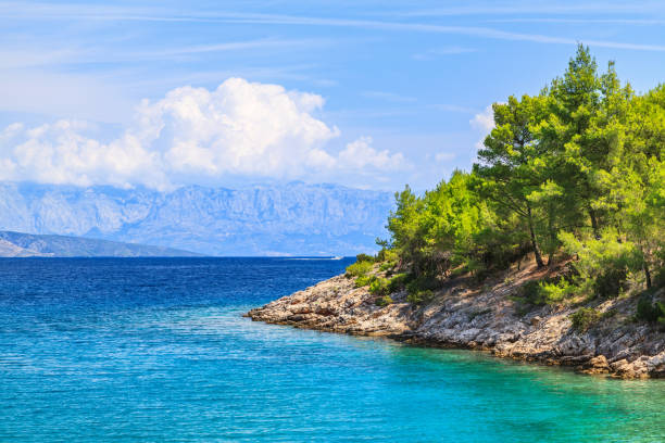 istock Beautiful Adriatic rocky coastline 890054152