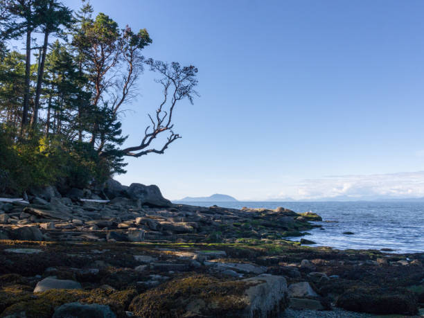 istock coastline scenic view from Gabriola Island, BC 890065684
