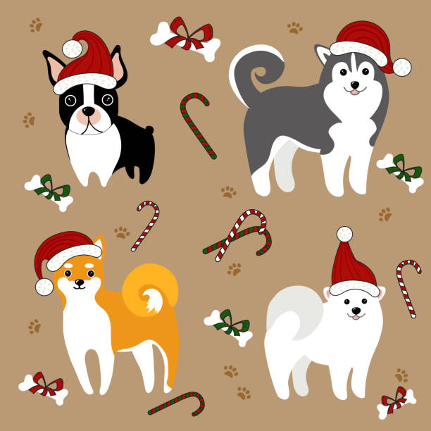 hunde in santa hüte. weihnachtskarte - dog malamute sled dog bulldog stock-grafiken, -clipart, -cartoons und -symbole