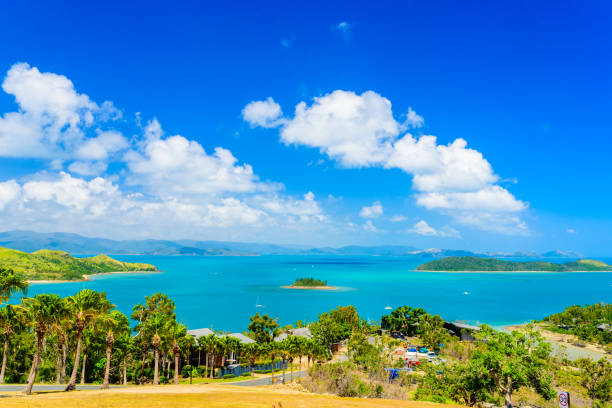 istock View from top of hamilton island 890084396