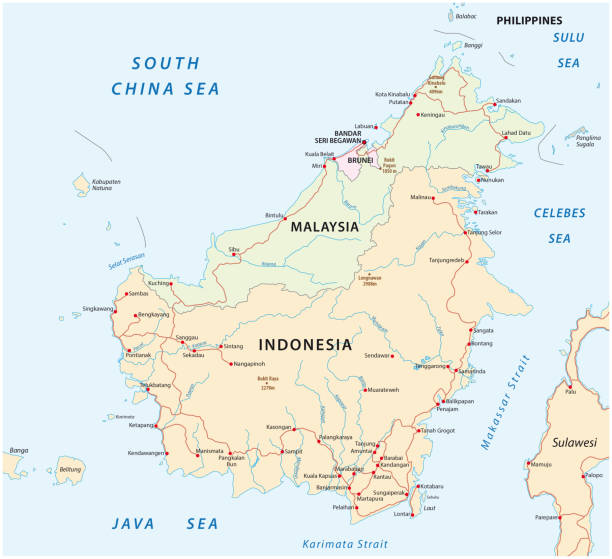 vector road map of island Borneo Kalimantan vector road map of island Borneo Kalimantan. island of borneo stock illustrations