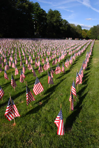 istock Field of American Flags 890093164