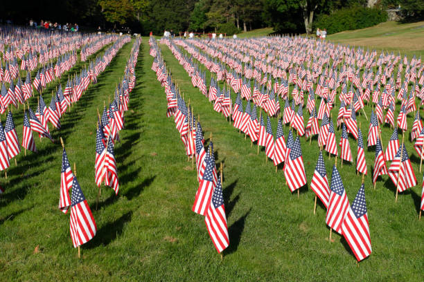 istock Field of American Flags 890093188