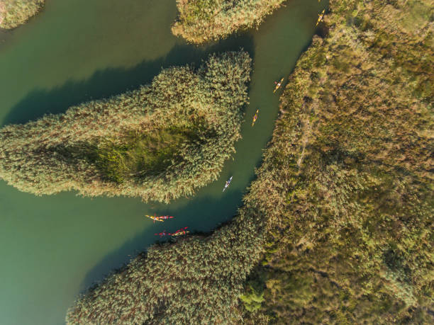 istock Sea kayaking in the mediterranean 890101026