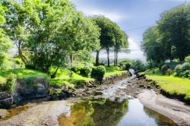istock River bank in Durrus, Wild Atlantic Way,Ireland 890102144