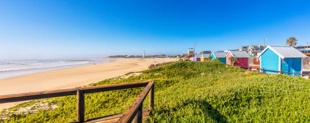 panorama de plage jeffreys bay sur la côte orientale du cap - eastern cape south africa marram grass sand dune photos et images de collection