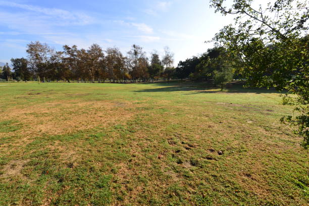 istock Griffith park in Los Angeles 890110236