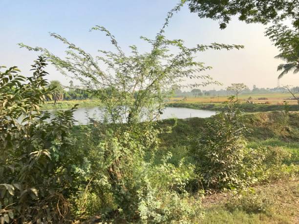 istock Natural beauty of countryside 890126566
