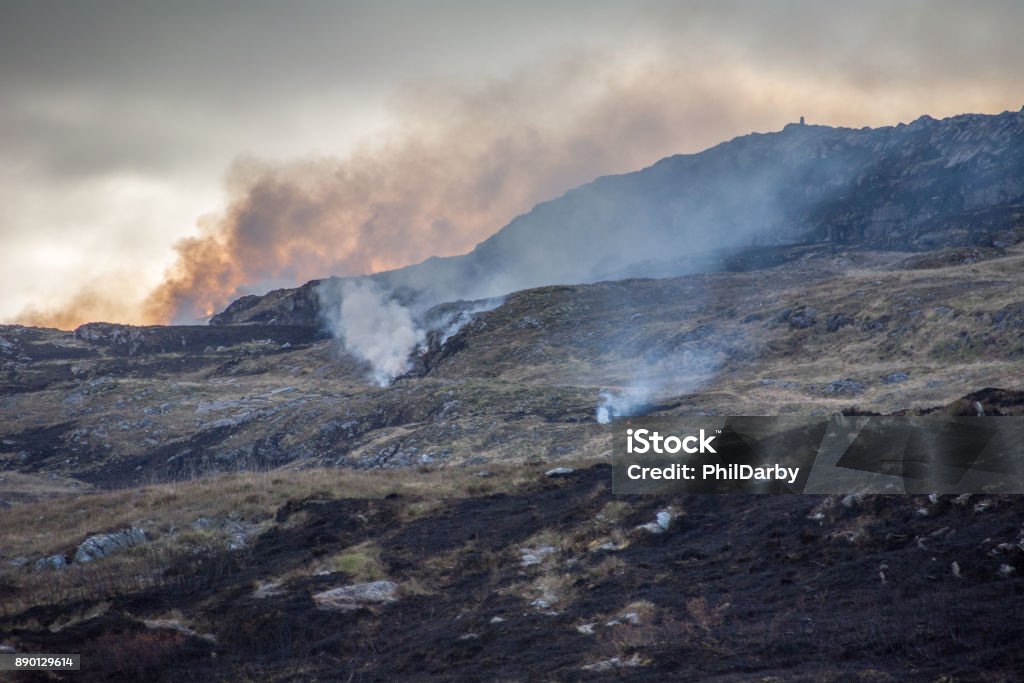 Rescaldo do incêndio de Tojo, Irlanda - Foto de stock de Acidentes e desastres royalty-free