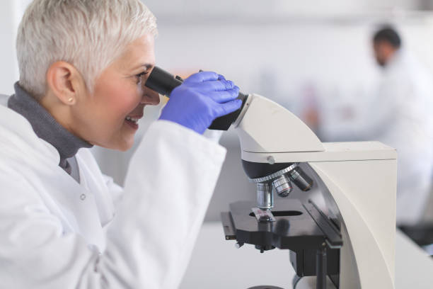 istock Senior female scientist working in laboratory 890129768