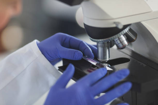 istock Senior female scientist working in laboratory 890136026