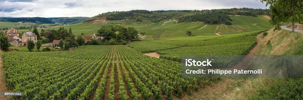 vineyards of Burgundy Fruit of a long history, Burgundy and its wines are famous all over the world Beaune Stock Photo vineyards of Burgundy Fruit of a long history, Burgundy and its wines are famous all over the world Beaune Stock Photo