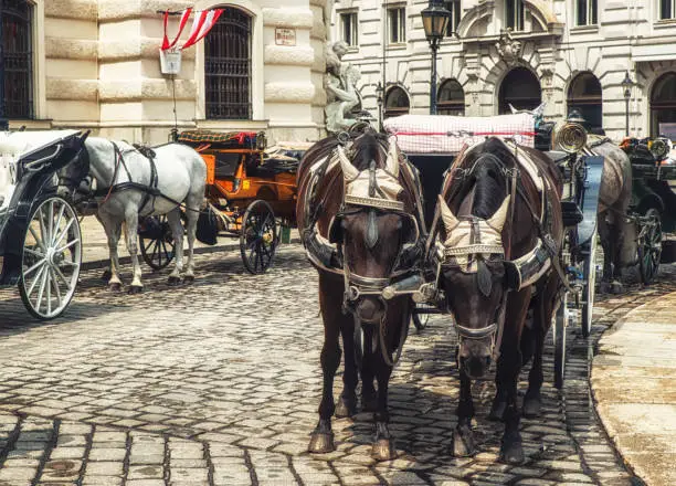 Vienna Fiaker,Horse drawn carriage in Vienna, Austria