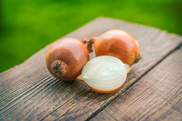 istock Onions on a wooden table in the garden 890164272