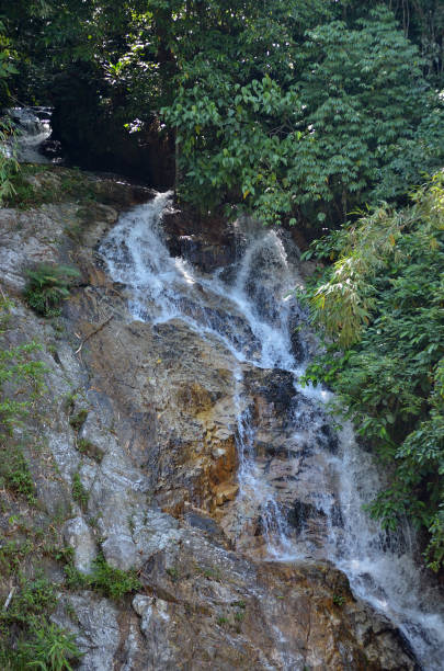 istock Waterfall in a Malaysian tropical jungle 890164860
