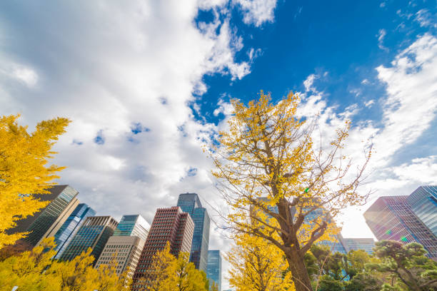 istock Urban building group and autumn leaves trees 890164866