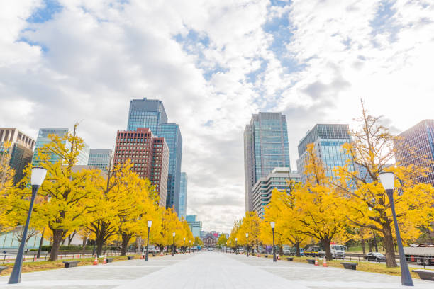istock Urban building group and autumn leaves trees 890166938