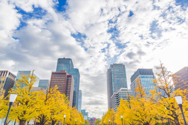 istock Urban building group and autumn leaves trees 890167824