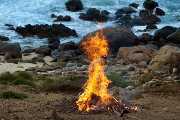 istock Burning down dead wood in fireplace at the beach 890167852