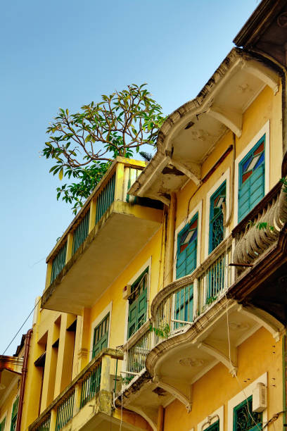 istock Tree on the roof in Macao city 890176530