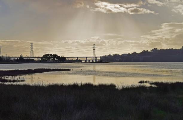 istock Bridges on the river, and electric cables at sunset 890183284