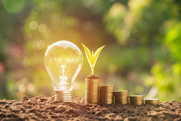 istock Energy saving light bulb and tree growing on stacks of coins on nature background. 890183338