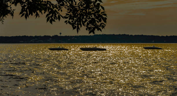 골든 선셋 반영에 대 한 silhouetted 3 powerboats에서 돌출 된 트리 분기 광고 세인트 로렌스 강에 배경에서 뉴욕 주 해안 물 - sailing motorboating speedboat racing nautical vessel 뉴스 사진 이미지