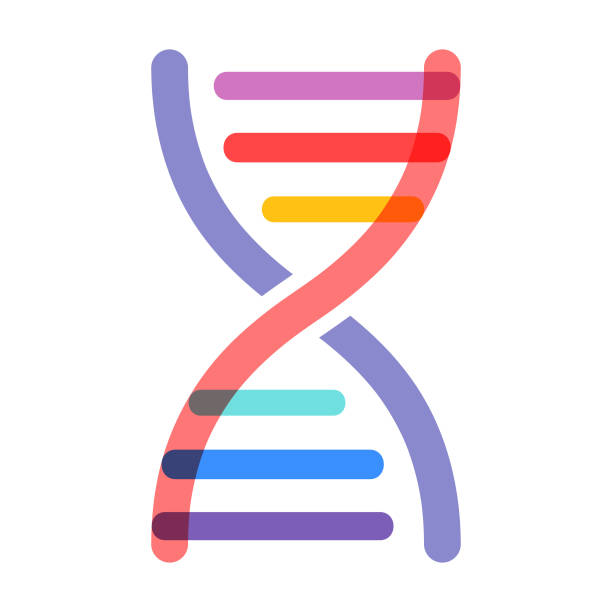 DNA Strand - Vector DNA vector illustration dna test stock illustrations