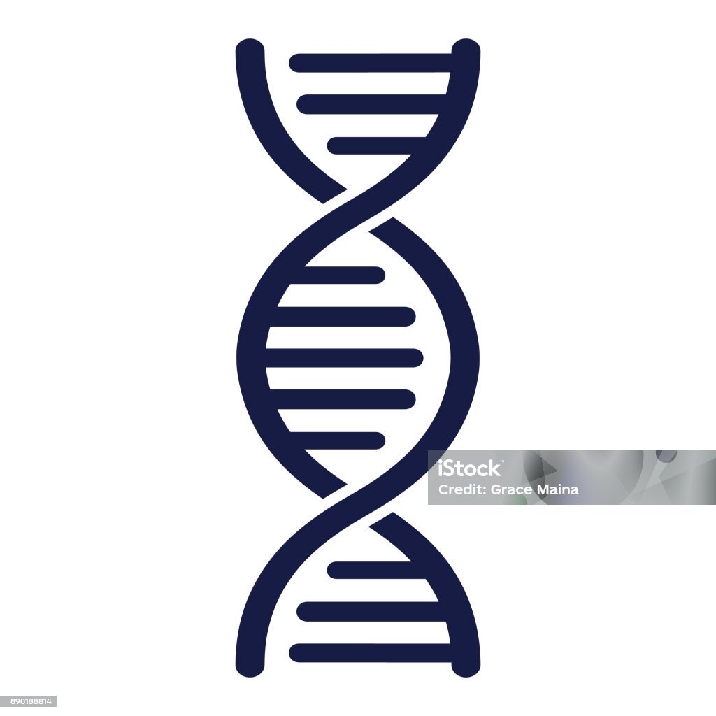 DNA Strand - Vector DNA vector illustration DNA stock vector