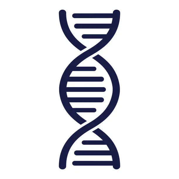 Vector illustration of DNA Strand - Vector